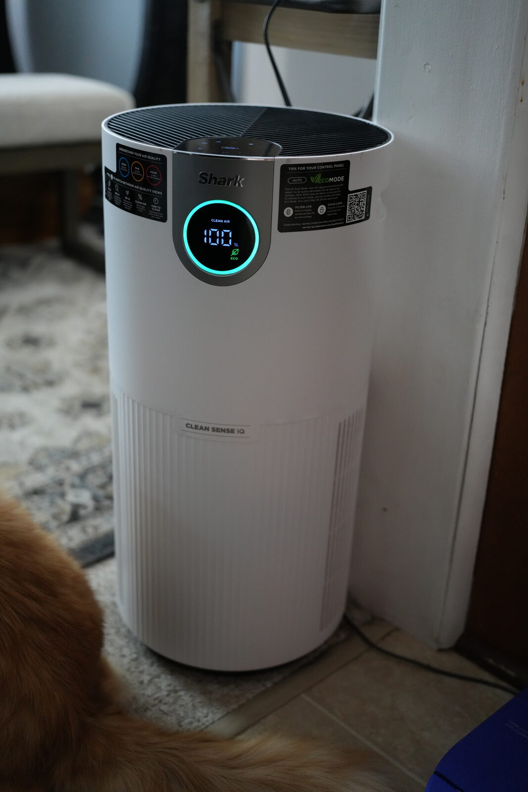 Shark Clean Sense IQ HP200 air purifier in the living room with Herbie's orange tail in frame